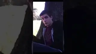 Дом 🐯