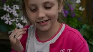 The Best Days Ever Ӏ Home video