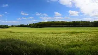 White noise by wind , help to sleep!