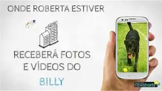 Babá Pet - Petsitter _ dog walker