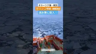[ガリンコ号Ⅲ IMERU] 流氷帯に突入 オホーツク海・紋別 #流氷 #船 #北海道