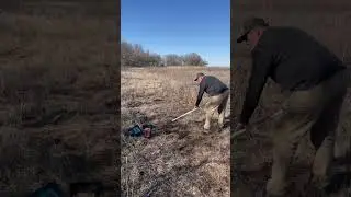 Creating a new deer mineral site
