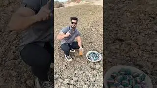 Maja to an ayega wait || 