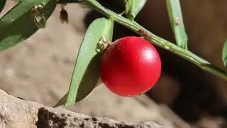 Mars 2019 Le 