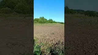 Разведка. Коп 2024 #metaldetecting #воскресенск #коп