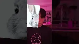 #jungkook Jungkook vs Rabit