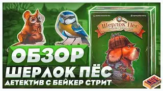 Обзор настольной игры Шерлок Пёс. Детектив с Бейкер Стрит