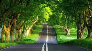 The Most  Beautiful Roads Amazing Roads  In The World