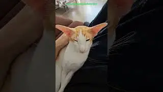 Радость встречи😍 