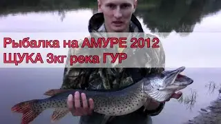 РЫБАЛКА на Амуре 2012. ЩУКА ломает спиннинг Shimano Vengeance