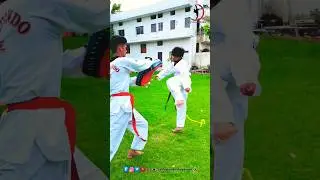 best taekwondo 😱 attacking combination kick #taekwondo #martialarts #viral #karate