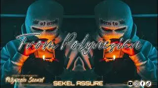 NASH - SEKEL ASSURE