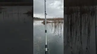 Рыбалка на Псковщине 13🎣🎣🎣