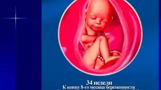3-ИЙ СКРИНИНГ. ГОСПИТАЛИЗАЦИЯ. 33-34 НЕДЕЛЯ