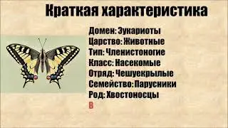 Махаон и интересные факты о нем
