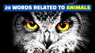 Learn 20 Words Related To Animals | Animal Vocabulary!
