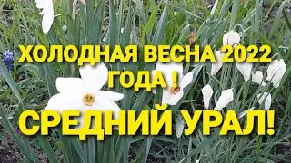 Холодная весна 2022года!