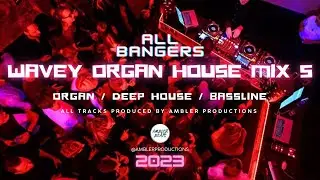 Wavey Organ House Mix 2023 #5