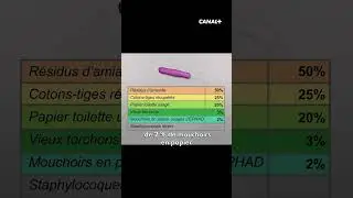 Mesdames, nous voilà enfin rassurées ! - Groland - CANAL+