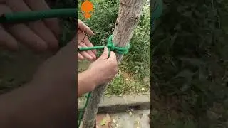 Варианты как завязать верёвку