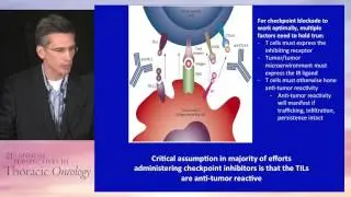 Biologic basis of immunotherapy in lung cancer