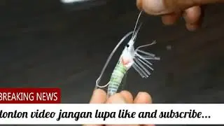 Kreatip membuat udang dari sedotan
