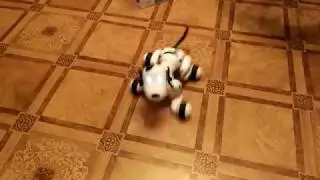 Smart dog - заменитель собаки