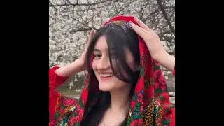 печакенат рошт паколак «» پیجکینت راشت پکلالک «» #mohabat shah Jahani #pamir #song #music #love ❣️💚