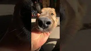 Доброе солнечное утро🌞 