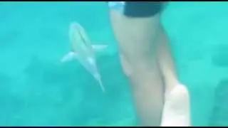 Phuket Freediving ดำน้ำ ภูเก็ต สิงหา 57