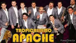 tropicalisimo apache al corazón no se engaña letra