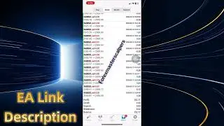 Gold Scalper EALive Result
