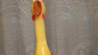 Untitled Chicken Video
