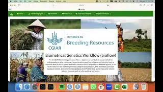 #7 Breeding Analytics Pipeline: Performing Multi-Trial Analysis