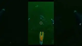 Not Buggy At Allll  - Subnautica Below Zero