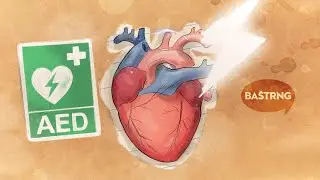 Baštrng - AED