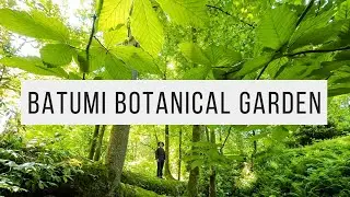 BATUMI BOTANICAL GARDEN | Black Sea, Green Paradise