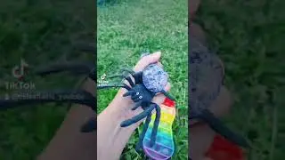 POP IT 
