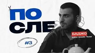 После #3 | Баджо - о псевдомедийных командах и почему Бычкин никогда не будет тренером Shark Team