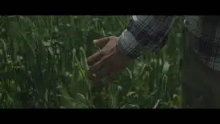 Farmer in Field - Free Stock Footage and Free Sound FX for your video projects.