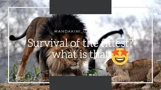 Survival of the fittest?!explained!/facts_O_life