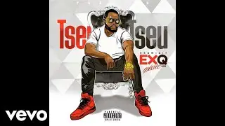 ExQ - Msikanzwa