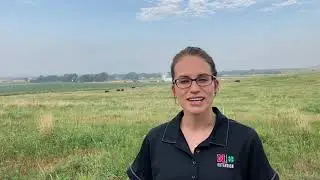 Assessing Drought Conditions