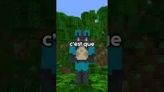 La 1.0 est la Meilleure version de Minecraft ! 