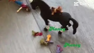 Money money money!!