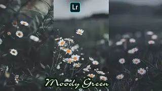MOODY DARK GREEN PRESET  | FLOWER MOODY GREEN PRESET | LIGHTROOM MOBILE TUTORIAL