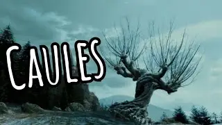 Caules