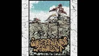 Wetting Agent - Promo II (2024)