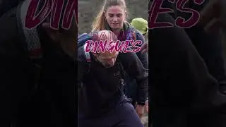 Podcast Raides Dingues : teaser