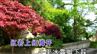 红梅赞 - 刘紫玲 Praising Plum blossom - Liu Ziling